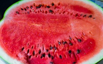 Jak vybrat zralý meloun: Kompletní návod pro sladké osvěžení