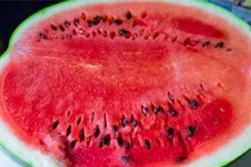 Jak vybrat zralý meloun: Kompletní návod pro sladké osvěžení